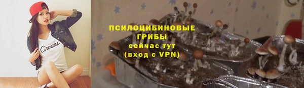 мескалин Переславль-Залесский