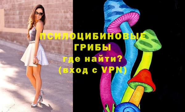 экстази Пересвет
