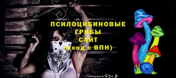 мескалин Переславль-Залесский