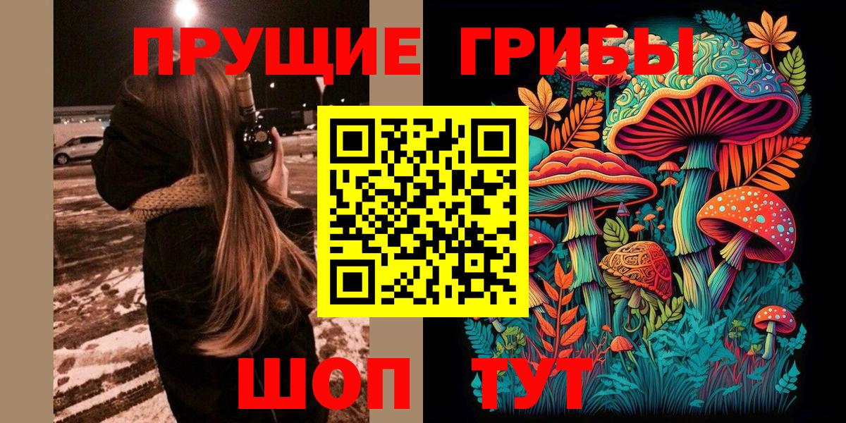 Псилоцибиновые грибы GOLDEN TEACHER Сальск