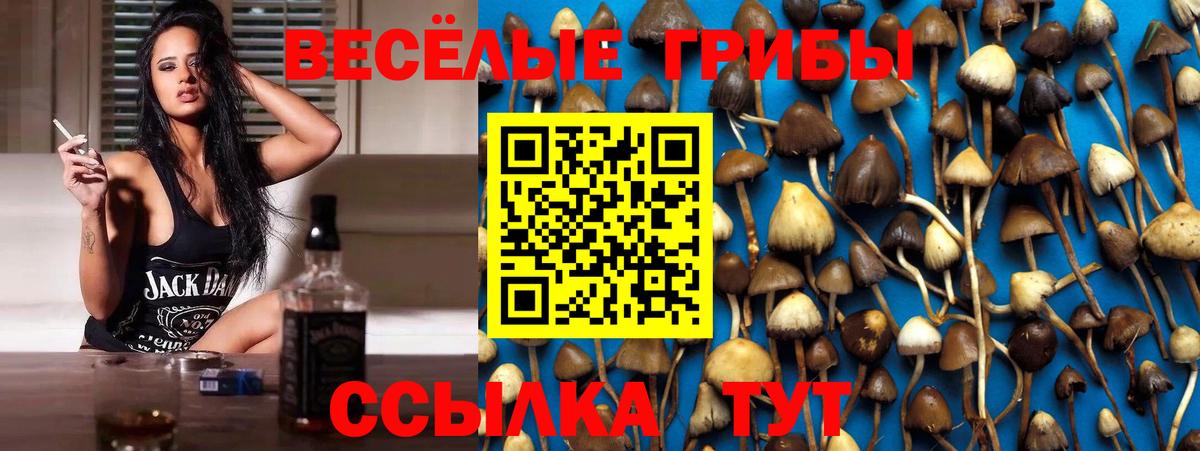 Псилоцибиновые грибы Cubensis  Вход с VPN  Сальск 